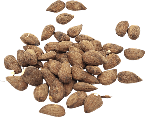 Almonds with Tamari in bulk Organic