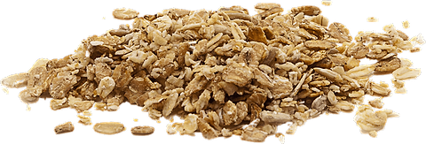 Granola Agave & Miel en vrac