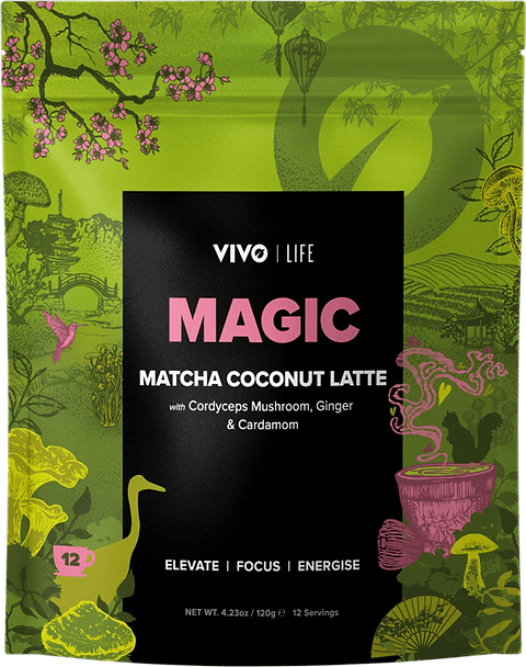 MAGIC Matcha Latte Coco Champignons Adaptogènes
