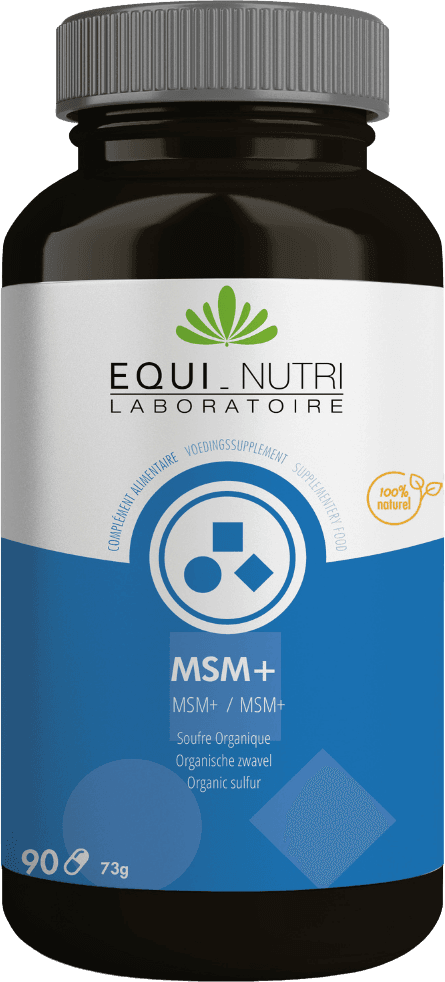 Msm+ 90 Capsules