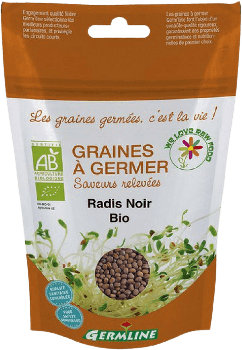 Radis Noir À Germer