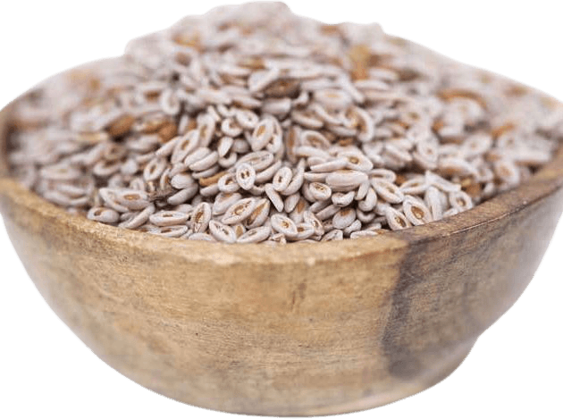 Graines Psyllium Blond