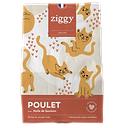 Kip En Zalmolie Graanvrij Kitten Brokken 