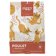 Kip en Zalmolie Graanvrij Kitten Brokken 