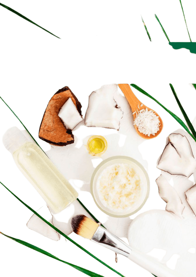 Ebook : Comment faire ses cosmétiques maison