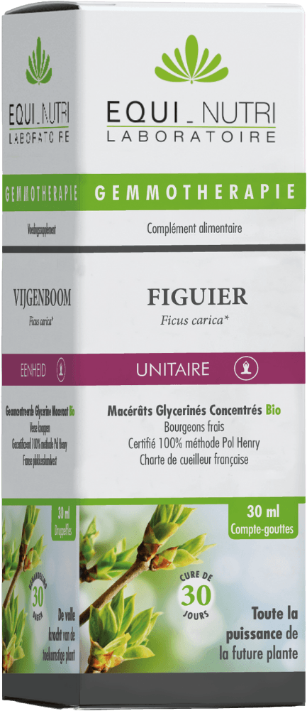 Figuier Stress & Sommeil
