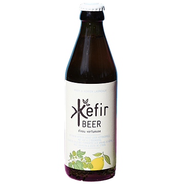 Kefir Beer BIO