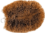 Coconut Bristle Brush 