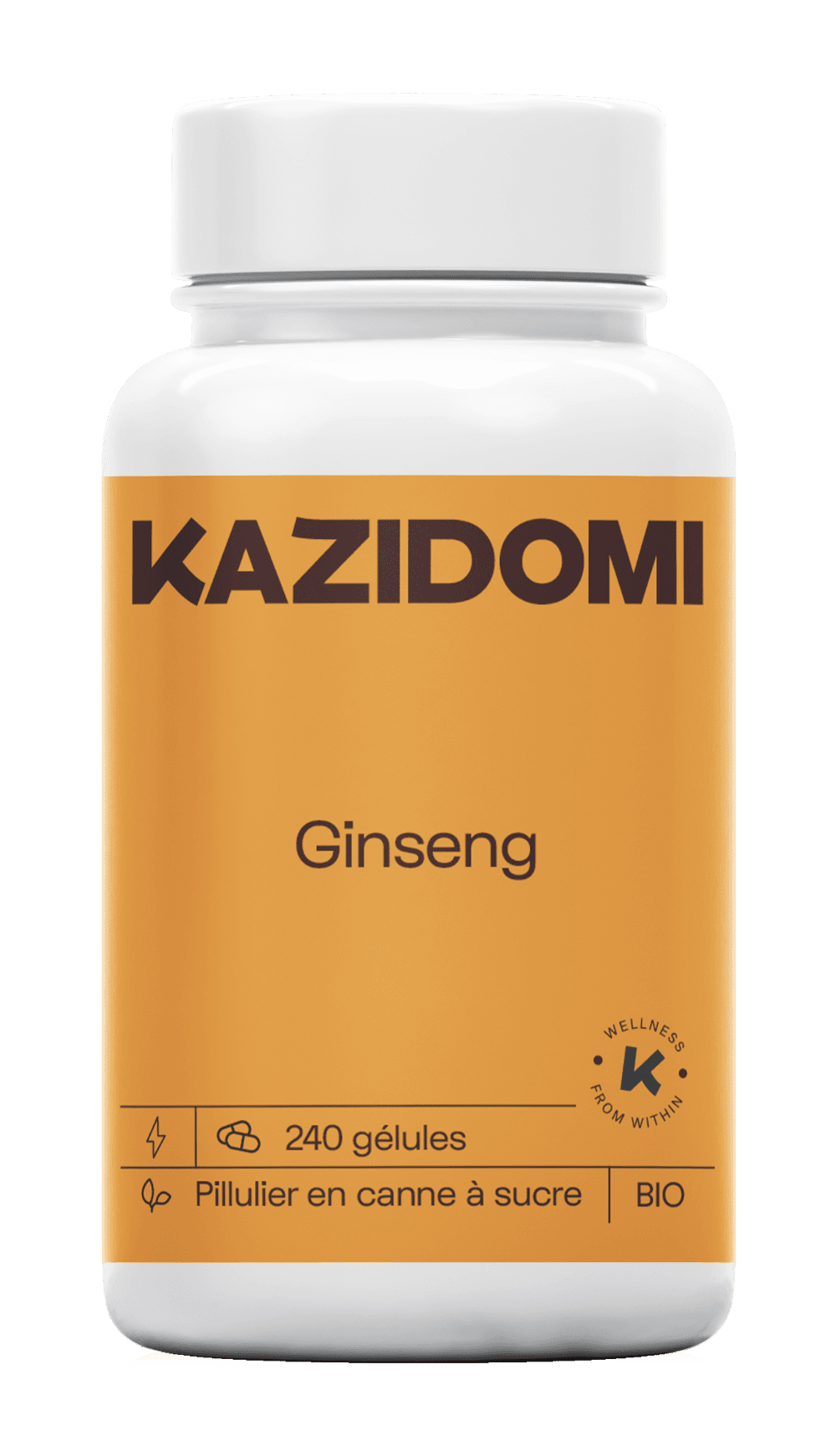 Ginseng 400µg (énergie et tonus)