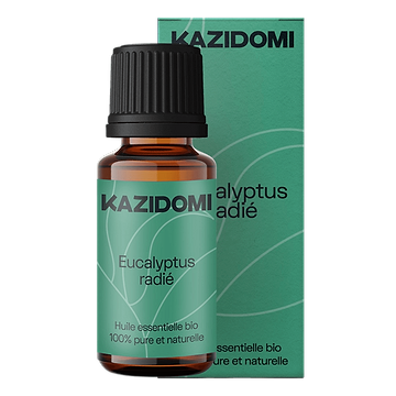 Eucalyptus Radiata Essential Oil Organic