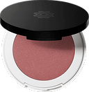 Blush Coming Up Roses 