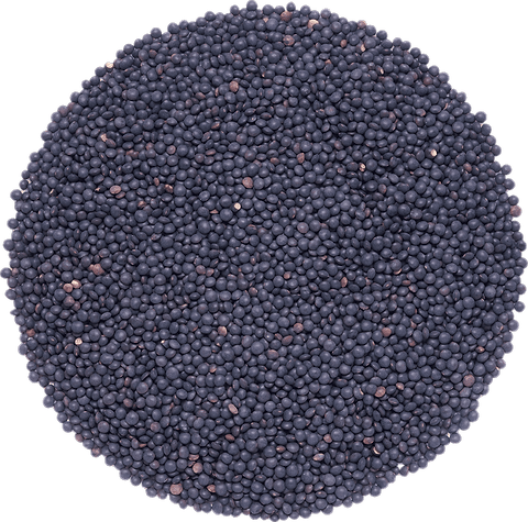 Lentilles Noires Beluga en vrac