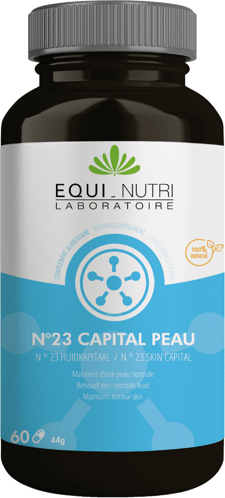 N°23 Capital Peau