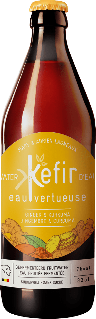 Ginger & Turmeric Kefir Organic