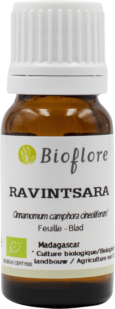 Essential Oil Ravintsara Organic