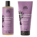 Lavender Revitalizing Hair Routine 