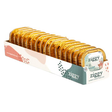 Sterilized Zalm Volwassen Kat Pâté Pack