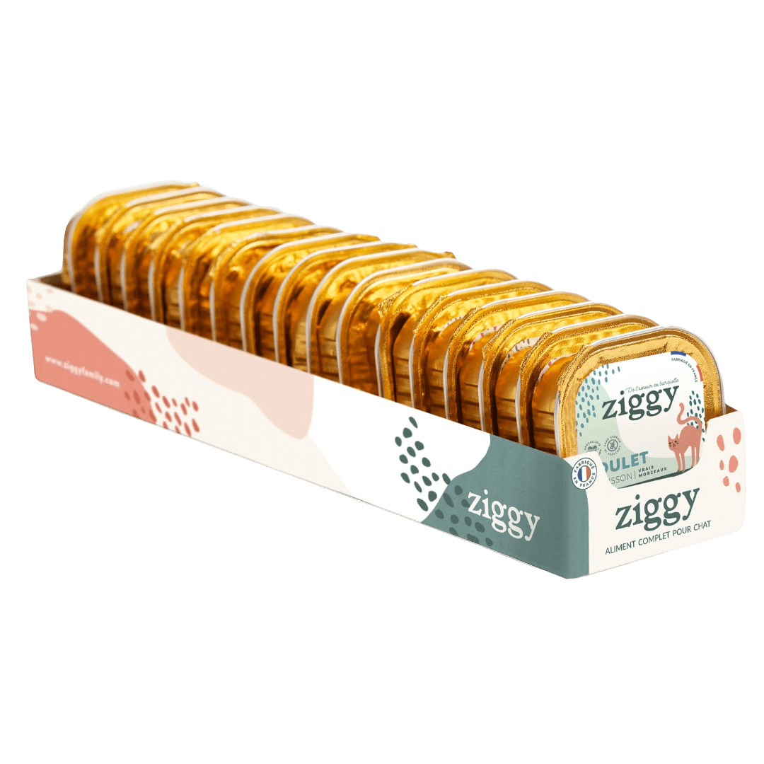 Sterilized Salmon Adult Cat Pâté Pack 0