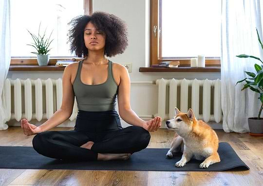 La contemplation, une alternative à la méditation ?image