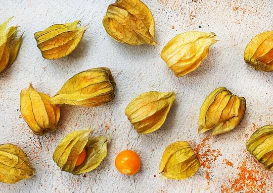 Les impressionnantes vertus du fruit physalis