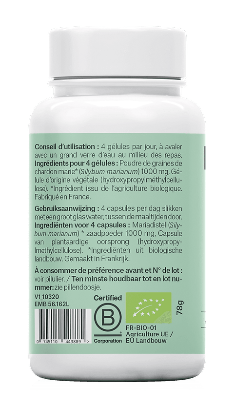 Chardon Marie (santé du foie, détox, élimination)