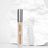 Honey Concealer 1