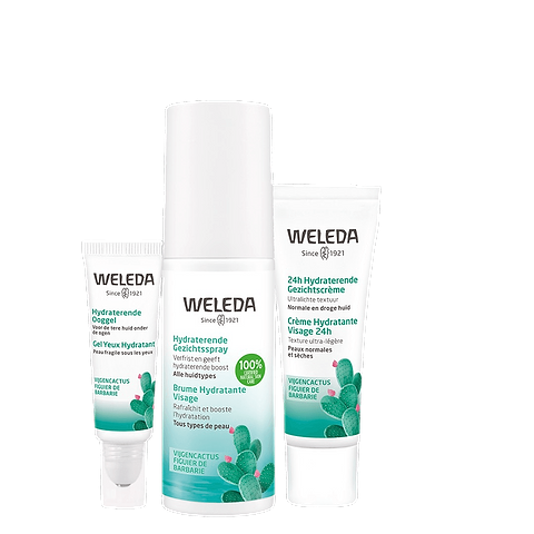 Moisturizing Face Mist Organic
