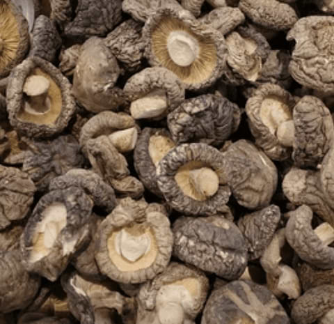 Shiitake