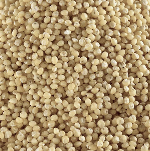 Millet
