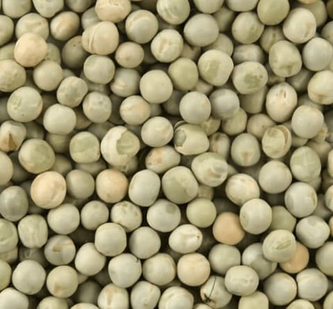 Pea Sprouts