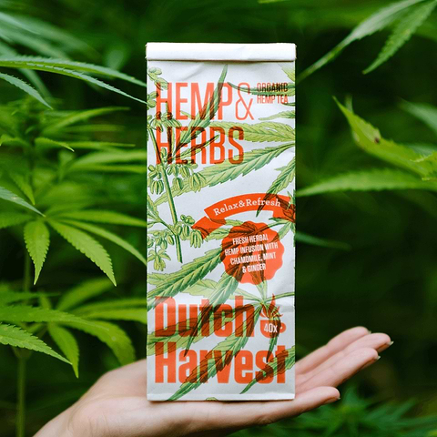Infusion Chanvre Fleurs