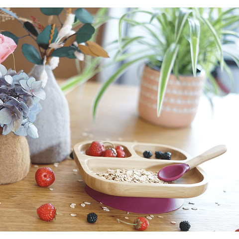 Assiette Compartimentée & Ventouse