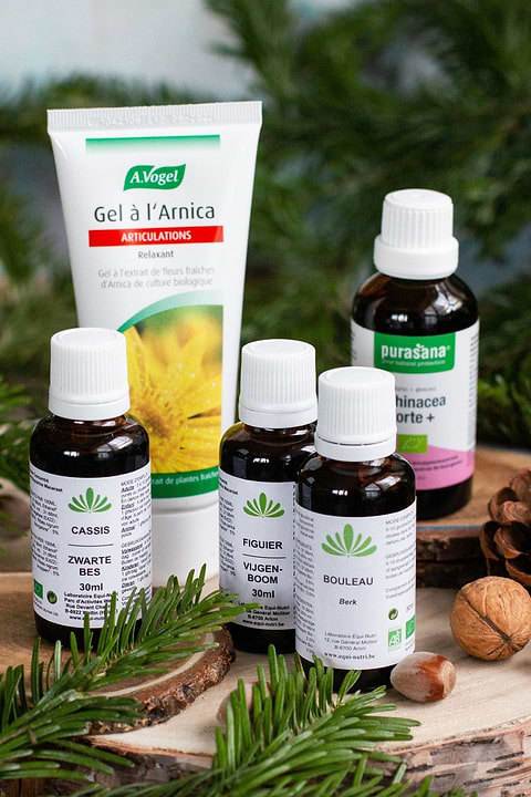 Echinacea forte +