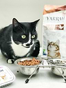 Grain-Free Cat Kibble 1