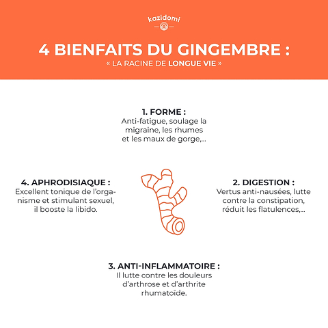 Concentré Gingembre