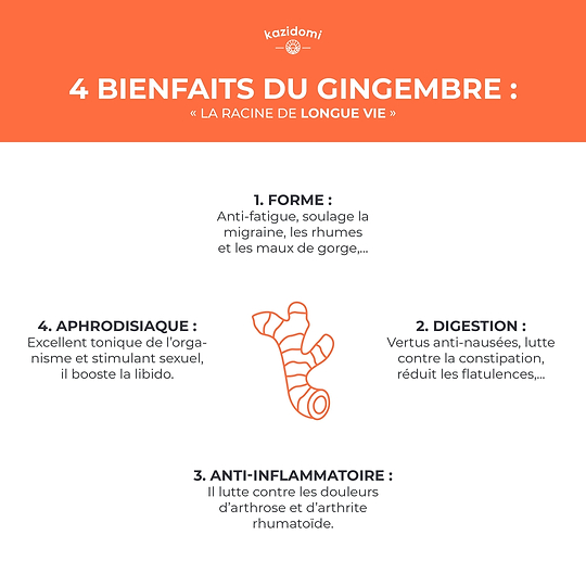 Concentré Gingembre 1