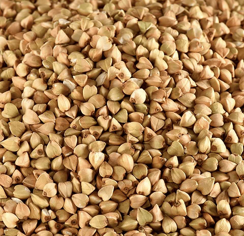 Buckwheat Organic
