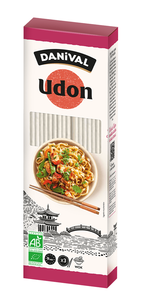 Nouille Udon BIO