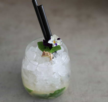 Gimber Mojito image