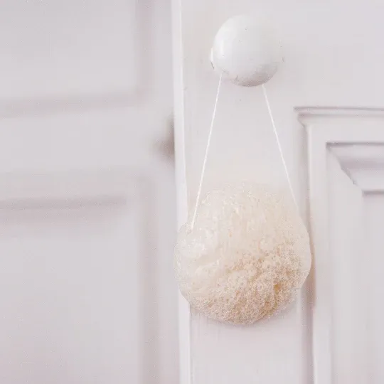 Konjac sponge