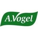 A. Vogel