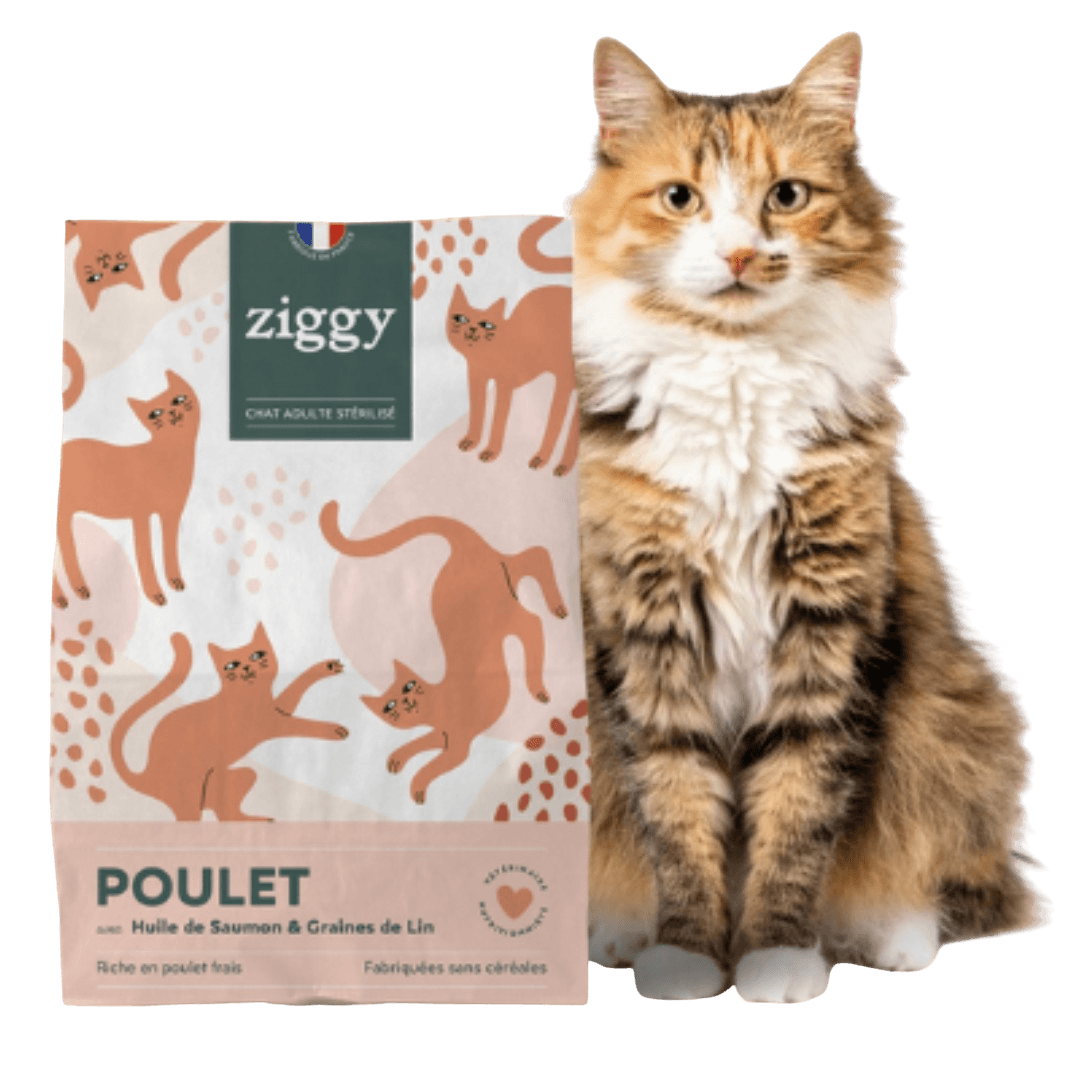 Grain-Free Sterilized Chicken Cat Kibble 2