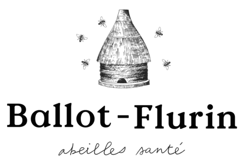 Ballot-Flurin