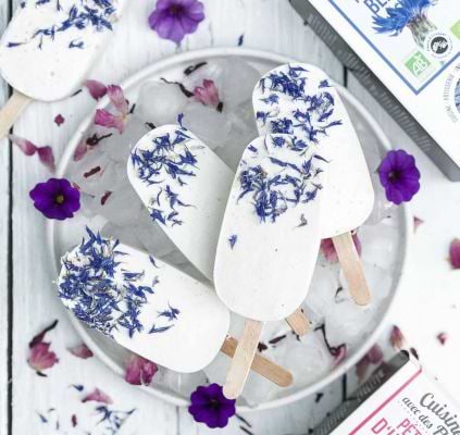 Esquimaux Coco et Fleurs