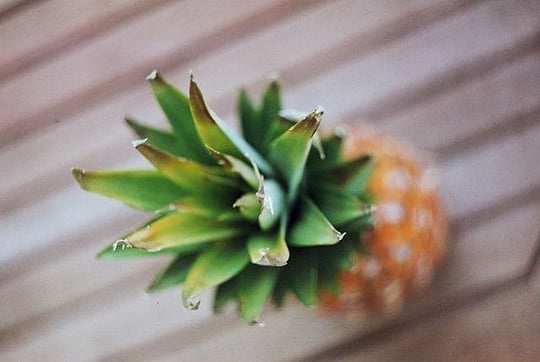 L'ananas, votre dose de vitamines C !image