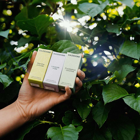 Huile essentielle Eucalyptus Citronné (anti-inflammatoire et apaisant) DDM : 31/03/25