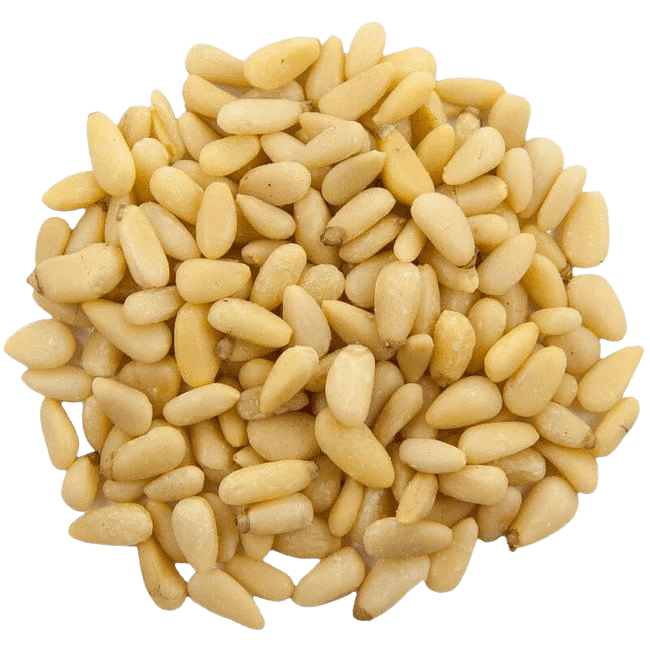 Pijnboompitten