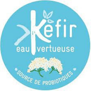 Kéfir eau vertueuse logo