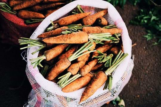 Quels sont les bénéfices d’une alimentation biologique ?