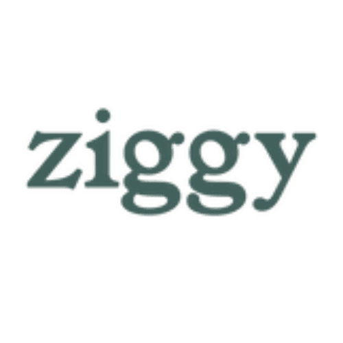 Ziggy logo